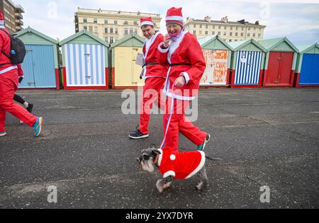 Brighton Großbritannien 14. Dezember 2024 - dieser Hund schließt sich in diesem Jahr Brighton Santa Dash entlang Hove Seafront an und sammelt Geld für die Rockinghorse ChildrenÕs Charity an einem kühlen, langweiligen Morgen entlang der Südküste : Credit Simon Dack / Alamy Live News Stockfoto