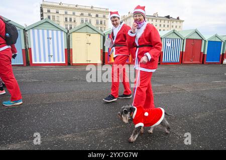 Brighton Großbritannien 14. Dezember 2024 - dieser Hund schließt sich in diesem Jahr Brighton Santa Dash entlang Hove Seafront an und sammelt Geld für die Rockinghorse ChildrenÕs Charity an einem kühlen, langweiligen Morgen entlang der Südküste : Credit Simon Dack / Alamy Live News Stockfoto