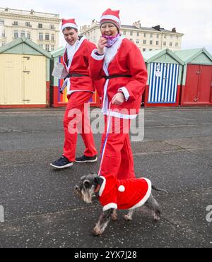 Brighton Großbritannien 14. Dezember 2024 - dieser Hund schließt sich in diesem Jahr Brighton Santa Dash entlang Hove Seafront an und sammelt Geld für die Rockinghorse ChildrenÕs Charity an einem kühlen, langweiligen Morgen entlang der Südküste : Credit Simon Dack / Alamy Live News Stockfoto