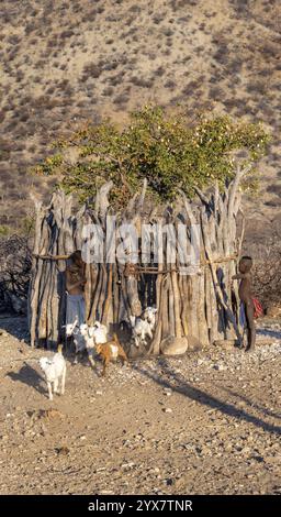 Himba-Kinder in einem Kraal, junge Ziegen werden aus dem Kraal, traditionelles Himba-Dorf, Kaokoveld, Kunene, Namibia, Afrika Stockfoto