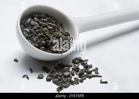 Grüner Tee „Gunpowder“ aus China, Gunpowder Tea, China, Asien Stockfoto