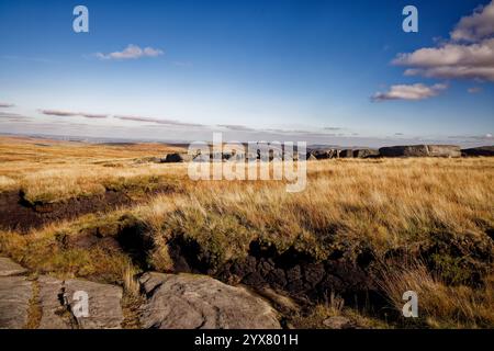 Gritstone-Felsbrocken bestreuen die Hochlandweide am Blackstone Edge, Rochdale, England. Stockfoto