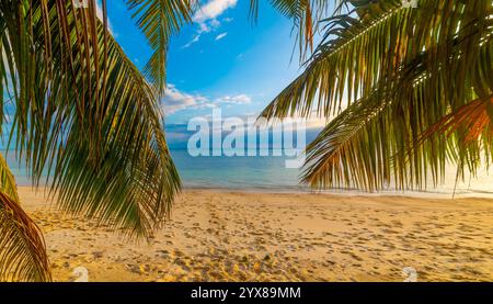 Palmen über einem Strand bei Sonnenuntergang. Seychellen, Indischer Ozean Stockfoto