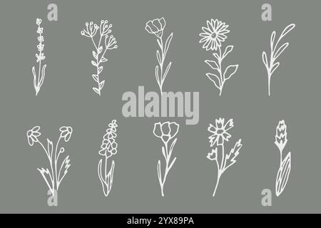 Ein Set aus einfachen Blumenelementen, handgezeichneten botanischen Zweigen. Minimalismus für Logos, Postkarten, Hochzeitsdekorationen, Tattoos Stock Vektor
