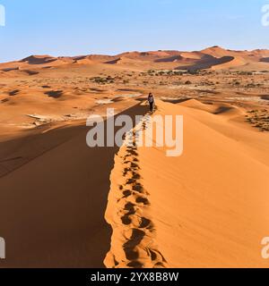 Fußspuren auf einem Dünenrücken im Morgenlicht auf dem Weg zur Big Daddy Dune, Sossusvlei, Deadvlei, Sesriem Nationalpark, Namibia, Afrika. Stockfoto