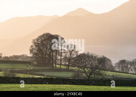 Wunderschöne Landschaft bei Sonnenuntergang im Herbst mit Blick auf Grisedale Hecht vom Castlerigg Stone Circle mit atemberaubendem goldenem Glanz Stockfoto