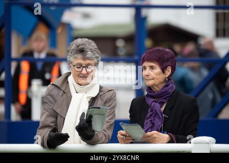 Windsor, Großbritannien. Oktober 2024. Racegoers studieren die Form auf der Royal Windsor Racecourse in Windsor, Berkshire. Kredit: Maureen McLean/Alamy Stockfoto