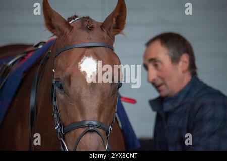 Windsor, Großbritannien. Oktober 2024. SEDGEMOOR im Pre-Parade-Ring auf der Royal Windsor Racecourse in Windsor, Berkshire, vor dem Download der at the Races App Handicap Stakes (Klasse 5). Kredit: Maureen McLean/Alamy Stockfoto