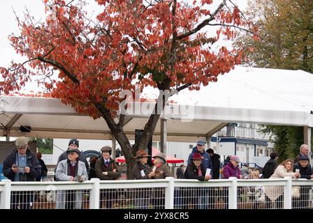 Windsor, Großbritannien. Oktober 2024. Racegoers studieren die Form auf der Royal Windsor Racecourse in Windsor, Berkshire. Kredit: Maureen McLean/Alamy Stockfoto