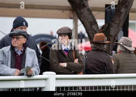 Windsor, Großbritannien. Oktober 2024. Racegoers studieren die Form auf der Royal Windsor Racecourse in Windsor, Berkshire. Kredit: Maureen McLean/Alamy Stockfoto