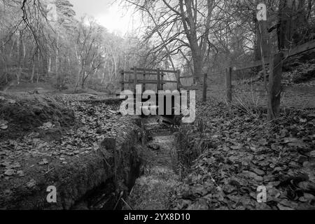 Wasser Im Waggoners Wells Stockfoto