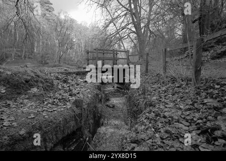 Wasser Im Waggoners Wells Stockfoto