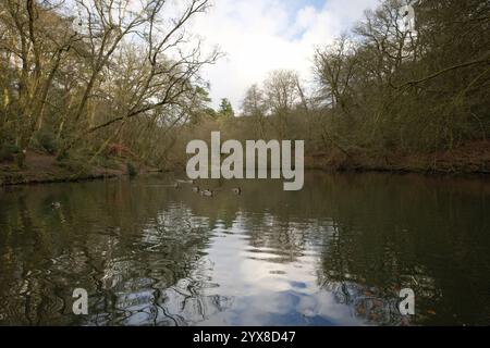 Wasser Im Waggoners Wells Stockfoto