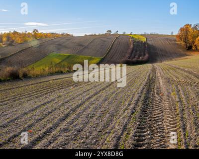 Das Gemälde zeigt eine herbstliche Agrarlandschaft mit charakteristischen Feldfrüchten im Vordergrund. Das Land wird sorgfältig gepflügt, und im Th Stockfoto