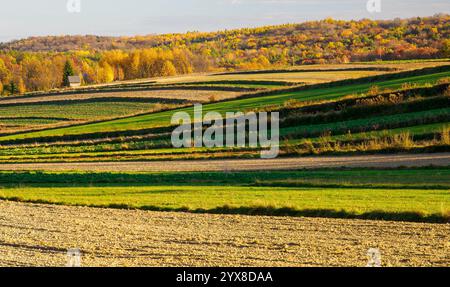 Das Gemälde zeigt eine herbstliche Agrarlandschaft mit charakteristischen Feldfrüchten im Vordergrund. Das Land wird sorgfältig gepflügt, und im Th Stockfoto