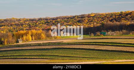 Das Gemälde zeigt eine herbstliche Agrarlandschaft mit charakteristischen Feldfrüchten im Vordergrund. Das Land wird sorgfältig gepflügt, und im Th Stockfoto