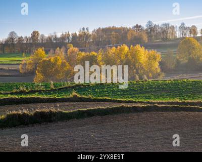 Das Gemälde zeigt eine herbstliche Agrarlandschaft mit charakteristischen Feldfrüchten im Vordergrund. Das Land wird sorgfältig gepflügt, und im Th Stockfoto