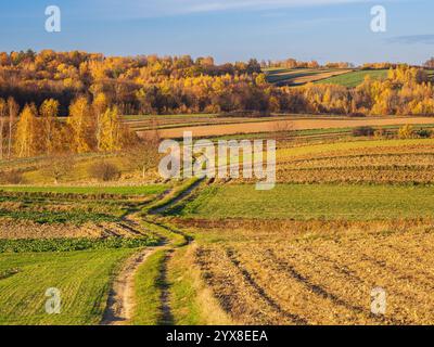 Das Gemälde zeigt eine herbstliche Agrarlandschaft mit charakteristischen Feldfrüchten im Vordergrund. Das Land wird sorgfältig gepflügt, und im Th Stockfoto