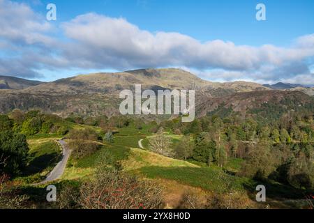 Wunderschöne Landschaft rund um Tarn Hows nördlich von Coniston im Lake District Nationalpark in Cumbria, England. Stockfoto