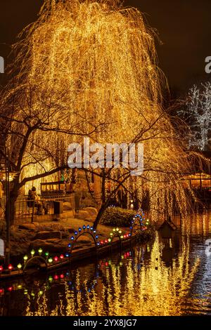 Hell erleuchteter Baum an einem Bach in Kopenhagen. Ein Paar sitzt auf einer Bank unter dem Baum. Weihnachtliche Einrichtung spiegelt sich im Wasser wider. Stockfoto