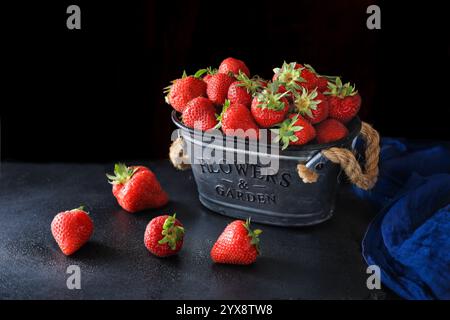 Frische Erdbeeren aus dem Garten auf einem Schiefer vor dunklem Hintergrund - dunkle und stimmungsvolle Fotografie Stockfoto