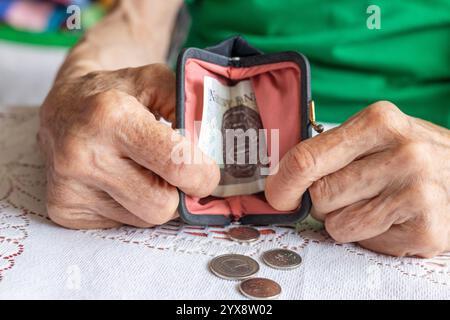 Eine polnische Seniorin mit berufsgetragenen Händen gießt Kleingeld aus ihrer Handtasche. Polnisch złoty. Finanzkonzept. Polen, Rentnerfinanzen. Nahaufnahme Stockfoto