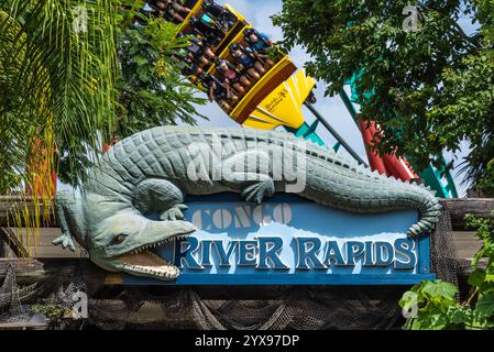 Eintritt zur Wildwasserfahrt auf dem Congo River Rapids mit Kumba Achterbahnfahrern, die in Busch Gardens Tampa Bay in Tampa, Florida, vorbeiziehen. (USA) Stockfoto