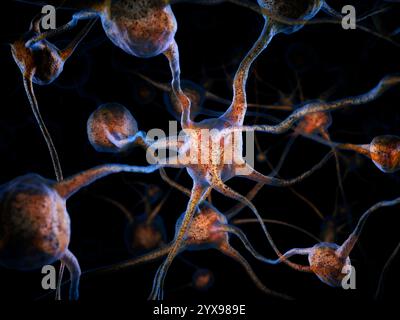 Netzwerk von Neuronen, Gehirnzellen, wissenschaftliche konzeptionelle 3D illustration Stockfoto