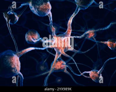 Netzwerk von Neuronen, Nervensystem, Gehirnzellen, wissenschaftliche konzeptionelle 3D illustration Stockfoto