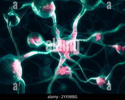 Neuronen, Nervensystem, Gehirn Zellen 3D-Illustration Stockfoto