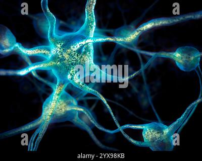 Netzwerk von Gehirnzellen, Neuronen, Nervensystem, konzeptionelle 3D Darstellung Stockfoto