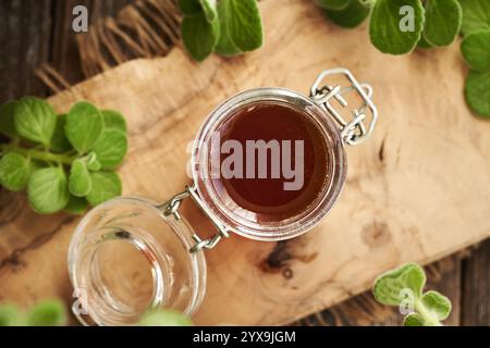 Ein Glas selbstgemachter Plectranthus Amboinicus Sirup für gewöhnliche Kälte mit frischen Blättern, Blick von oben Stockfoto