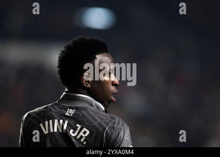 Madrid, Spanien. Dezember 2024. MADRID, SPANIEN - 14. Dezember: Vinicius jr von Real Madrid während des LaLiga EA Sports 2024/25 Spiels zwischen Rayo Vallecano und Real Madrid im Vallecas Stadion in Madrid. (Foto: Guillermo Martinez) Guillermo Martinez/Alamy Live News Stockfoto