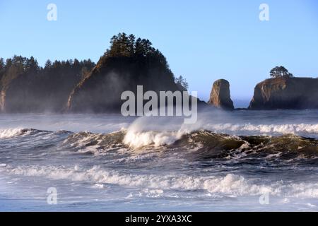 WA26295-00...... WASHINGTON: James Island, Little James Island und Gunsight Rock aus Rialto Beach, Olympic National Park. Stockfoto