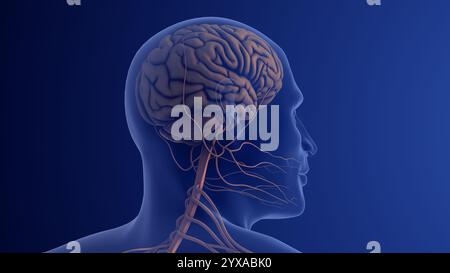 Trigeminusneuralgie Verursacht Schwere Gesichtsschmerzen Stockfoto