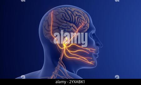 Trigeminusneuralgie Verursacht Schwere Gesichtsschmerzen Stockfoto