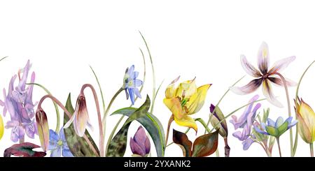 Frühlingsblumen, blaue hepatica Vergissmeinnicht, weiße Waldanemone, Forellenlilie, gelbe Tulpe, corydalis handgezeichnet in Aquarellen. Nahtloses Banner Stockfoto