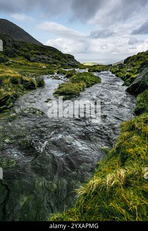 Klares Wasser fließt schnell über Felsen. Der Bach liegt eingebettet zwischen grasbewachsenen, felsigen Hügeln. Stockfoto