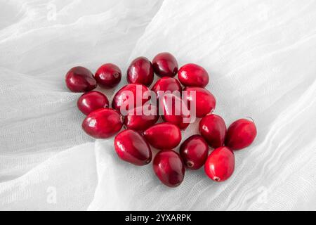 Nahaufnahme frischer roter Preiselbeeren Stockfoto