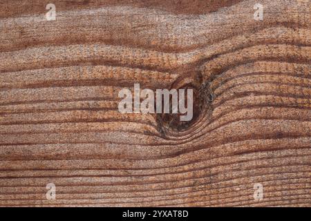 Die Textur eines Kiefernbretts mit einer Knotennaht. Stockfoto
