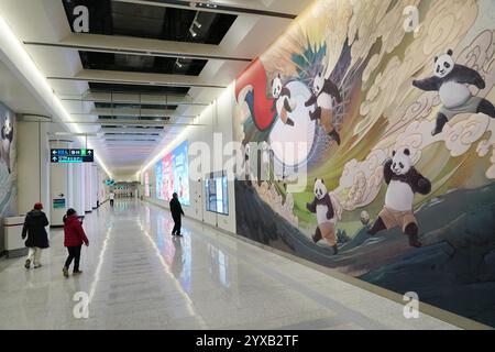 Peking, China. Dezember 2024. Dieses am 15. Dezember 2024 aufgenommene Foto zeigt einen Blick auf das Workers' Stadium der Pekinger U-Bahn in Peking, der Hauptstadt Chinas. Drei neue U-Bahn-Linien wurden am Sonntag in Peking eröffnet, wodurch die Gesamtlänge der Stadt auf 879 Kilometer erhöht wurde, was den ersten Platz unter den chinesischen Metropolen belegt. Quelle: Zhang Chenlin/Xinhua/Alamy Live News Stockfoto