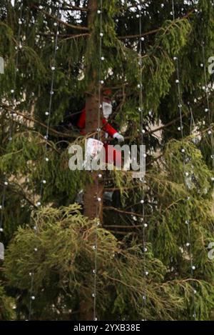 London, Großbritannien, 15. Dezember 2024. Ein als Weihnachtsmann gekleideter Väter für Gerechtigkeit klettert auf den Weihnachtsbaum auf dem Trafalgar Square und hält eine ein-Mann-Demonstration ab. Quelle: James Willoughby/Alamy Live News Stockfoto