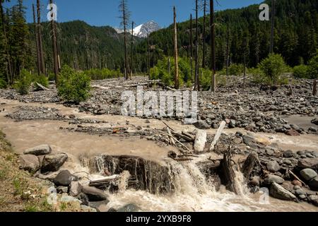 Der Tahoma Creek fließt Muddy durch Eine Rocky Flood Plain unterhalb des Mount Rainier Naitonal Park Stockfoto