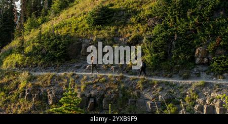 Zwei Wanderer Entlang Des Highline Trail Im Glacier National Park Stockfoto