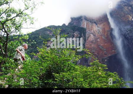 Britischer Mann mit Blick auf die Angel Falls, den höchsten Wasserfall, Ayantepui, Gran Sabana, Bolivar State, Venezuela, Südamerika Stockfoto