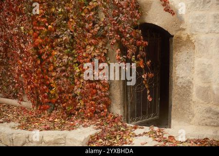 Eine alte, mit Eisengatter versehene, versteckte Tür in einem Steingebäude, überzogen mit lebhaften Herbstblättern Stockfoto