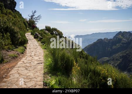 Touristen wandern auf einem steinigen Wanderweg am Rande des Berges, Madeira, Portugal Stockfoto