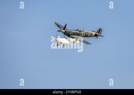 1941 Supermarine Spitfire & Percival Mew Gull, die auf der Best of British Air Show am 12. Mai 2024 in Shuttleworth durchgeführt wurde. Stockfoto