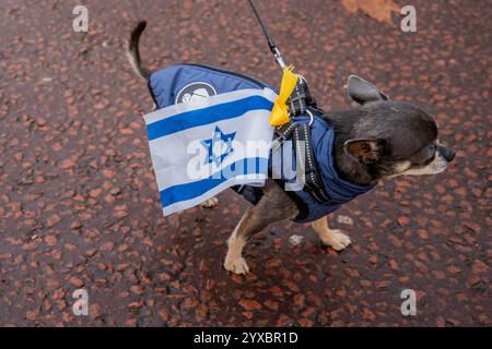 London, Großbritannien. Dezember 2024. Ein pro-israelischer Hund. Als sich Tausende pro-palästinensischer Demonstranten auf dem parlamentsplatz versammelten, stellte sich ein Gegenprotest der pro-israelis ihnen gegenüber, getrennt durch eine Polizeieinheit. Quelle: SOPA Images Limited/Alamy Live News Stockfoto