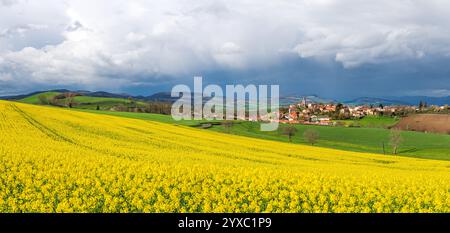 Panoramablick auf ein mittelalterliches Dorf mit einem gelben Rapsfeld im Vordergrund, bewölkter Himmel Stockfoto